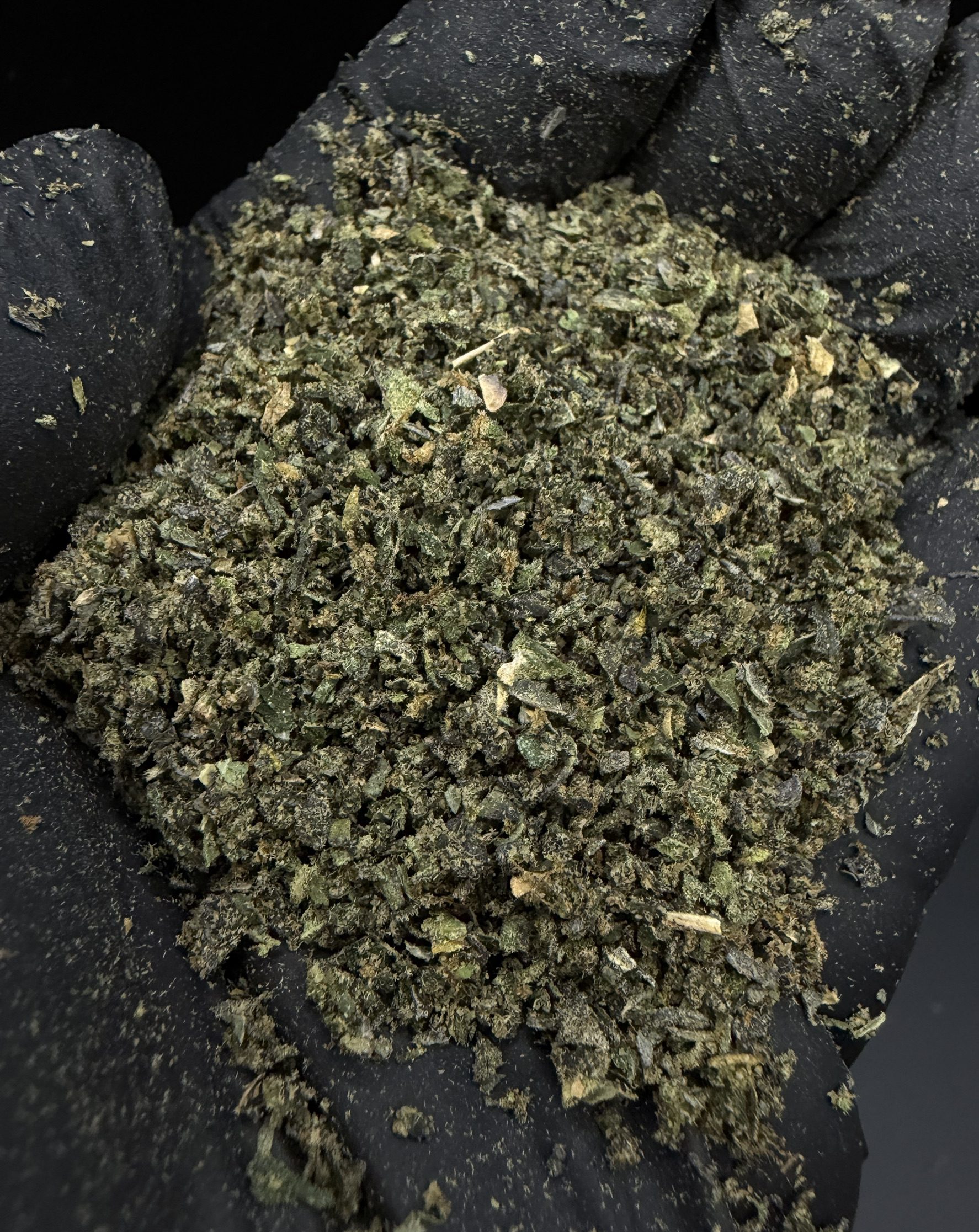 Trim Papaya
