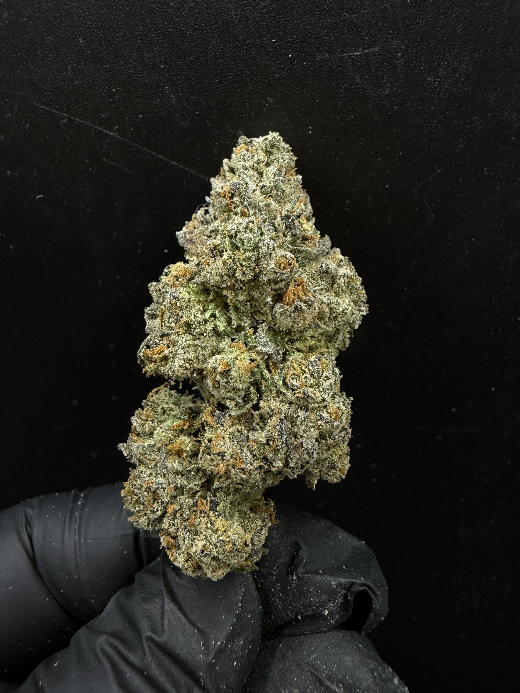 Durban Poison