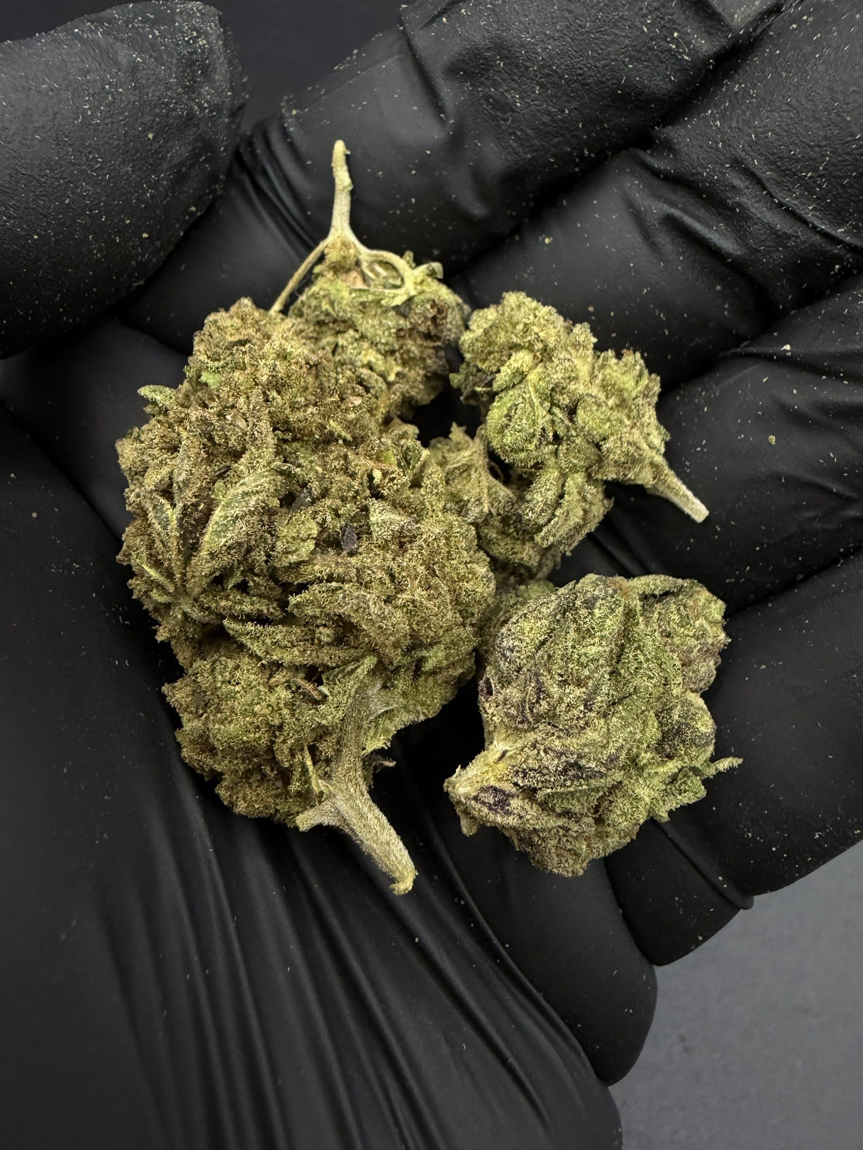 Godfather OG