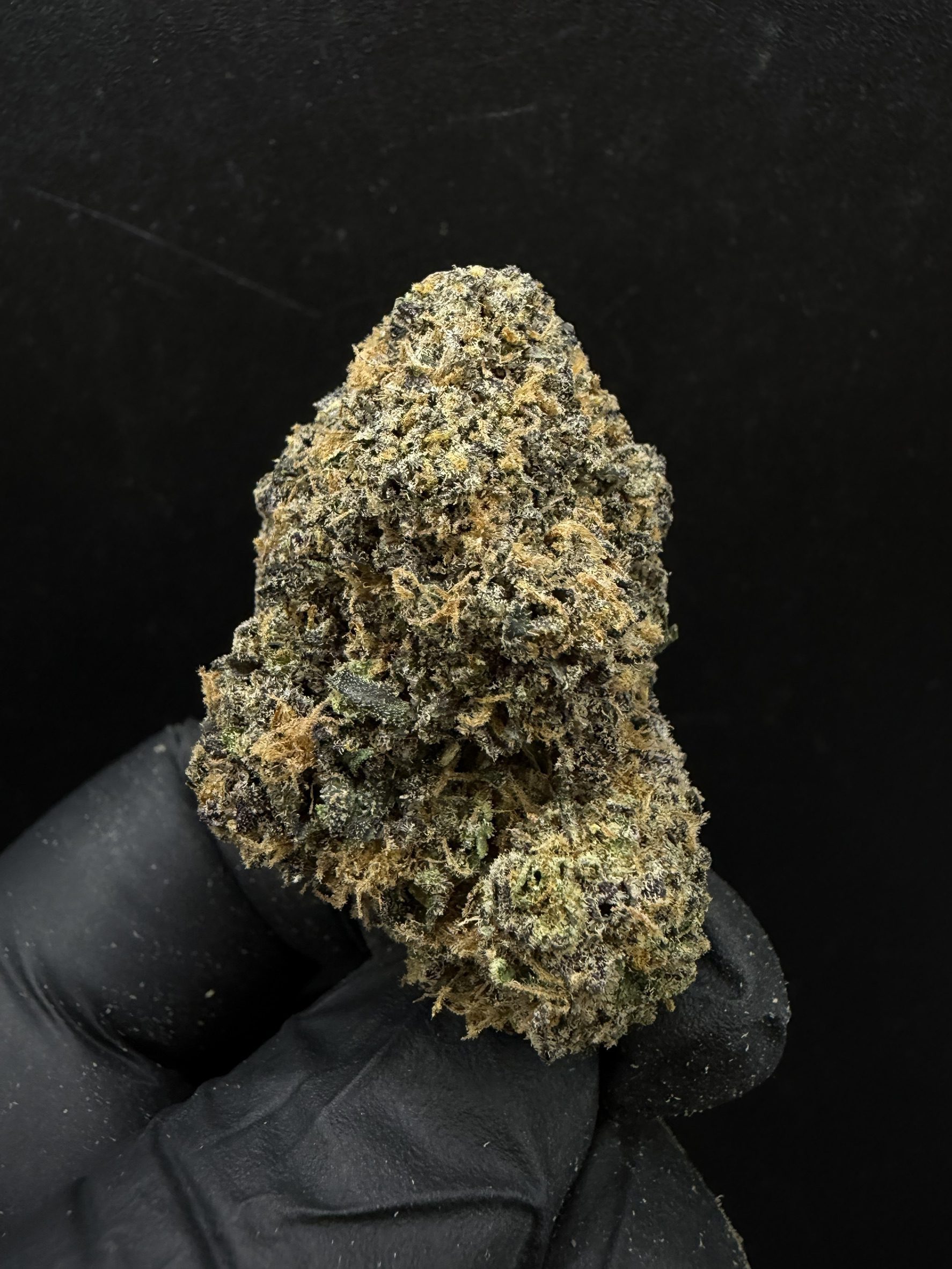 Purple Punch