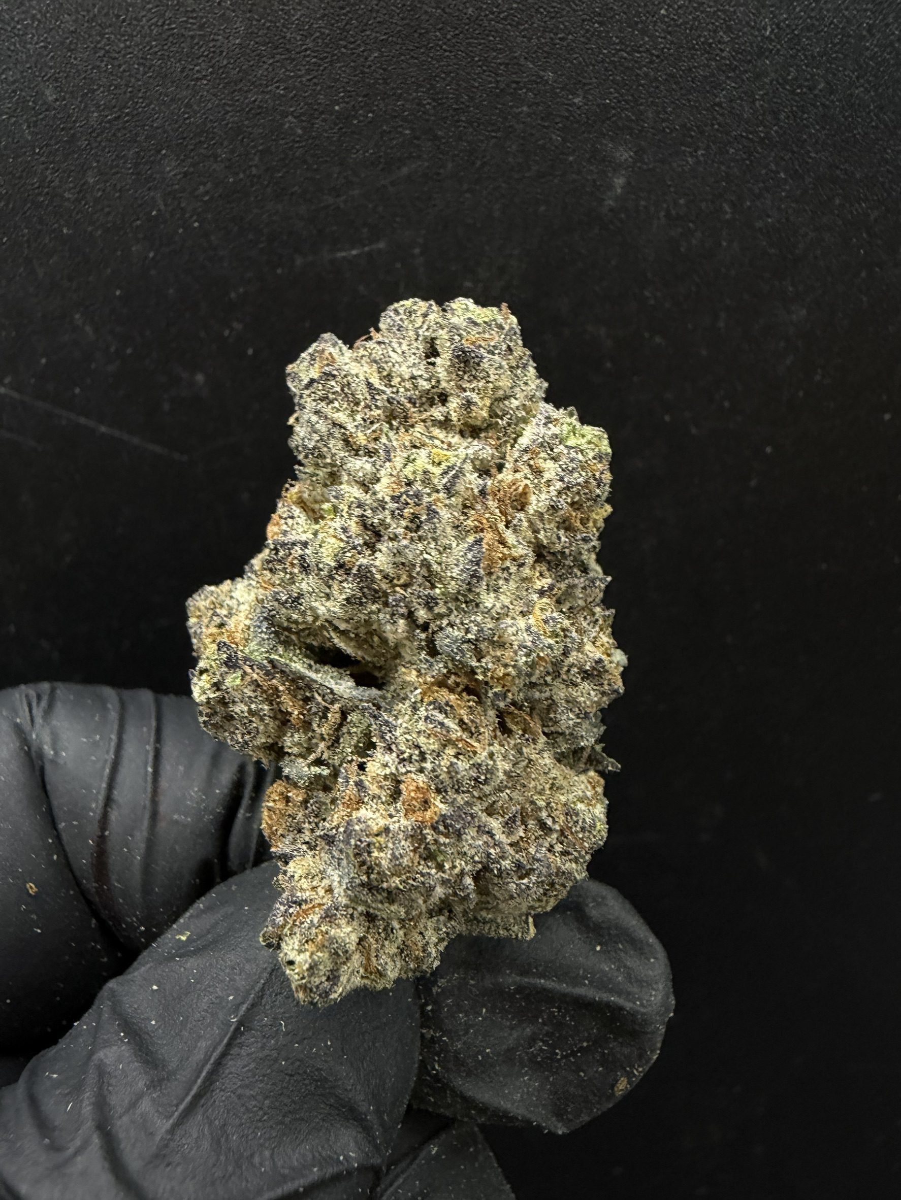 G – Licious S1