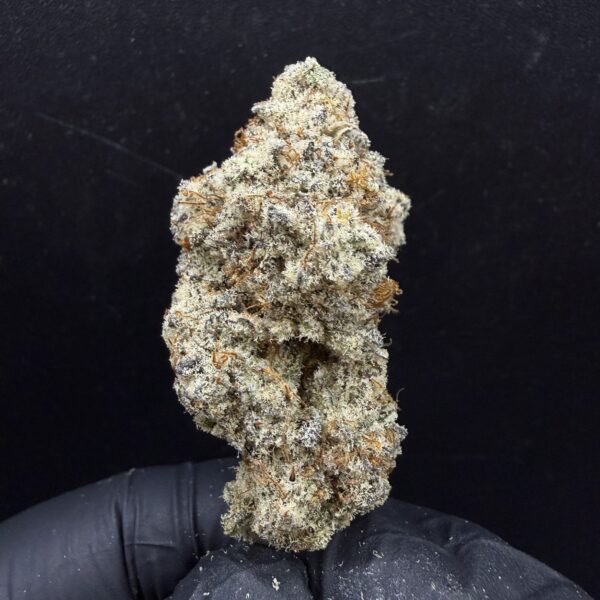 Alien Bubba