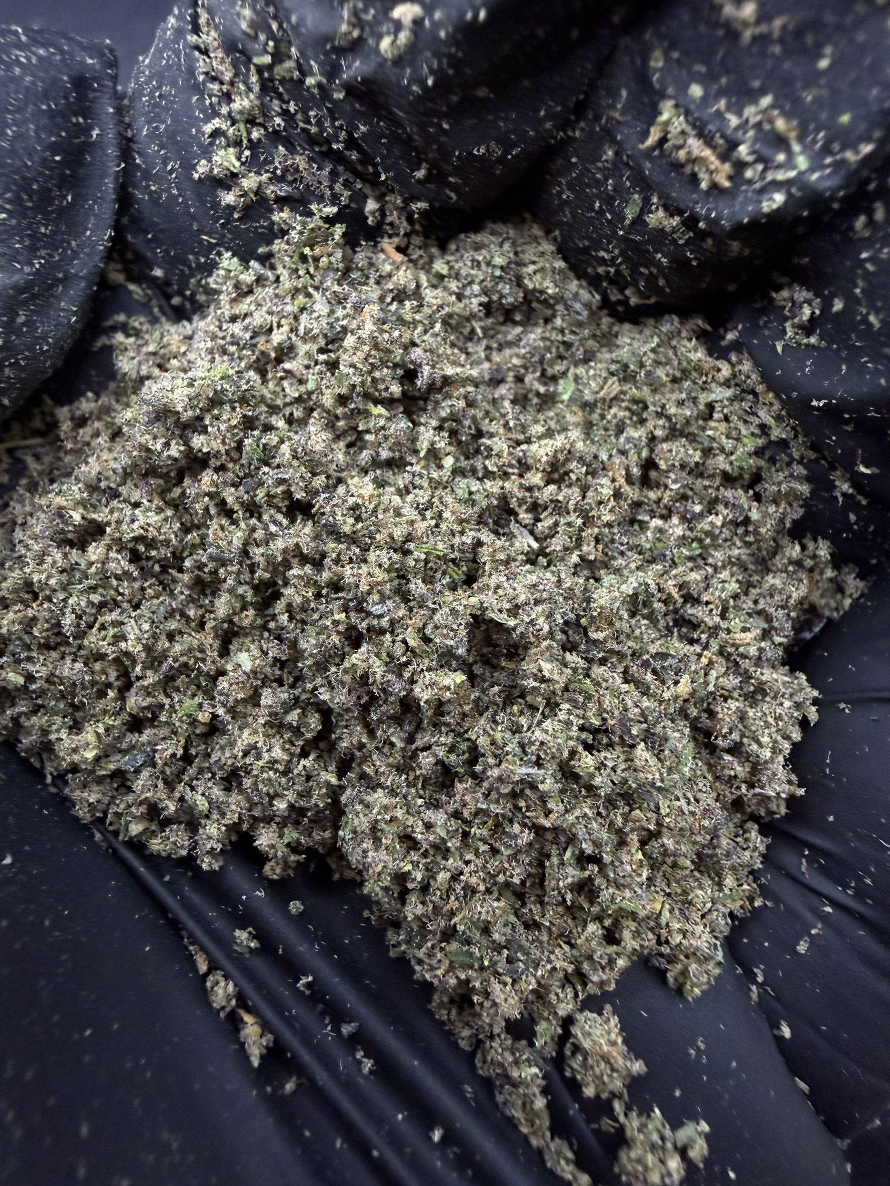 Powder