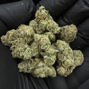 Zapplez [ Popcorn Size ]