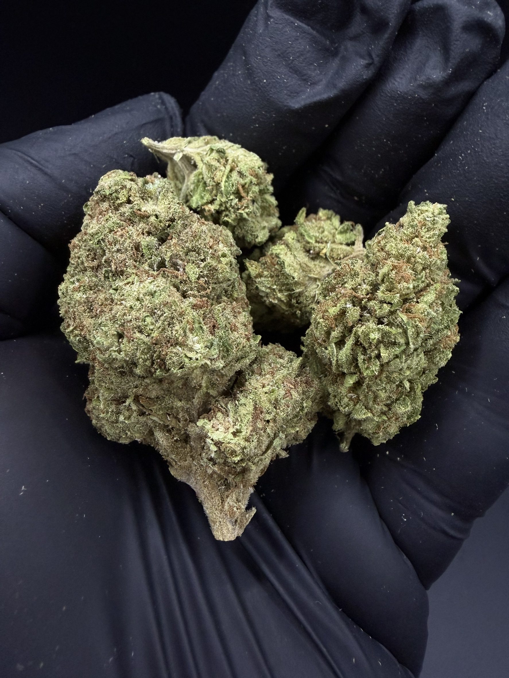 Blue Dream