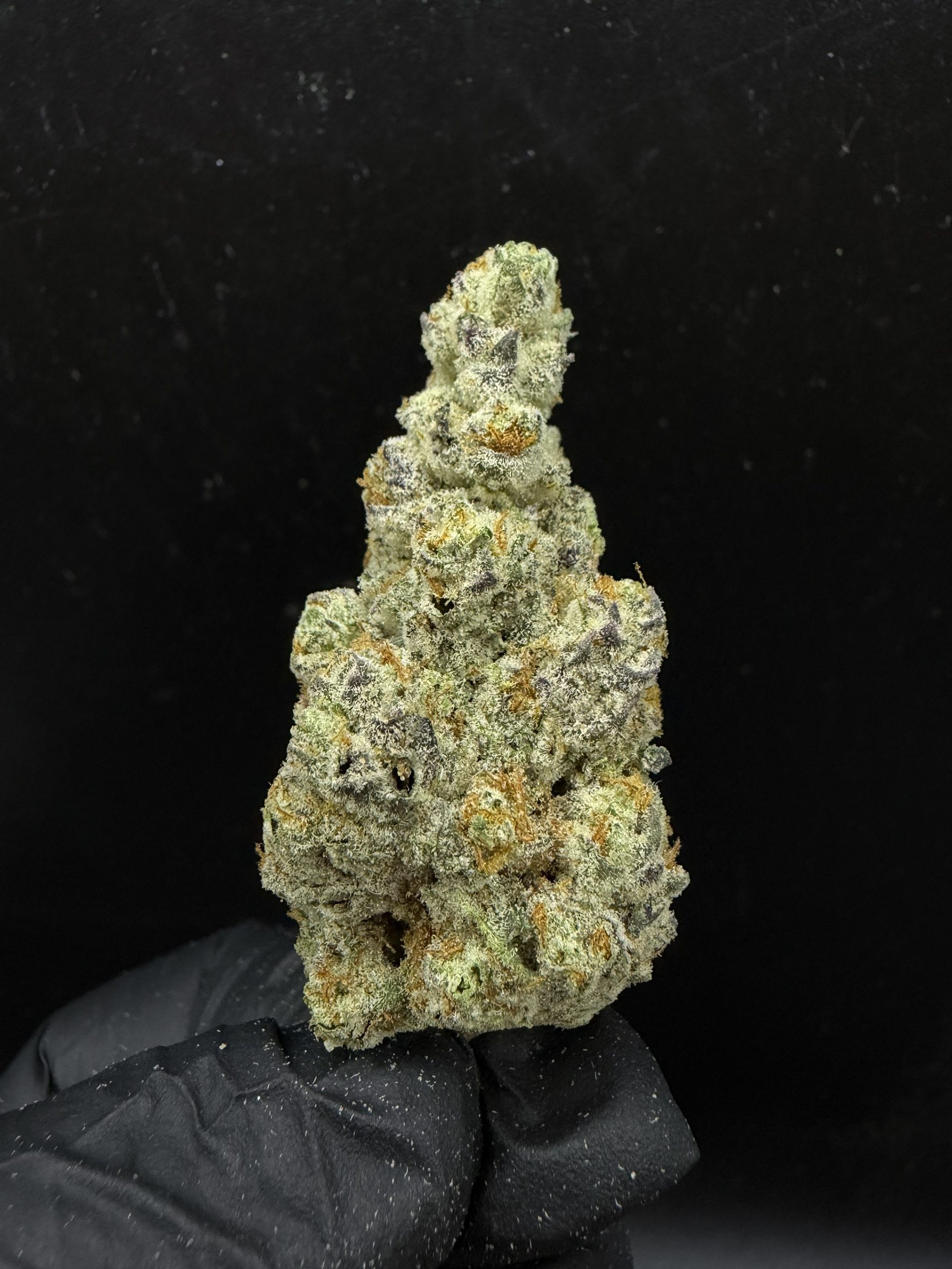 Lemon Banana Mints