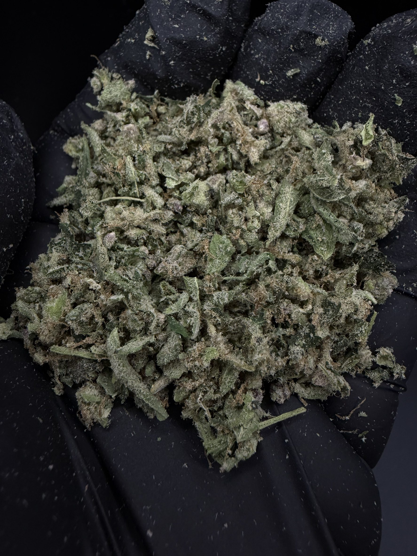 Trim Alien Mints