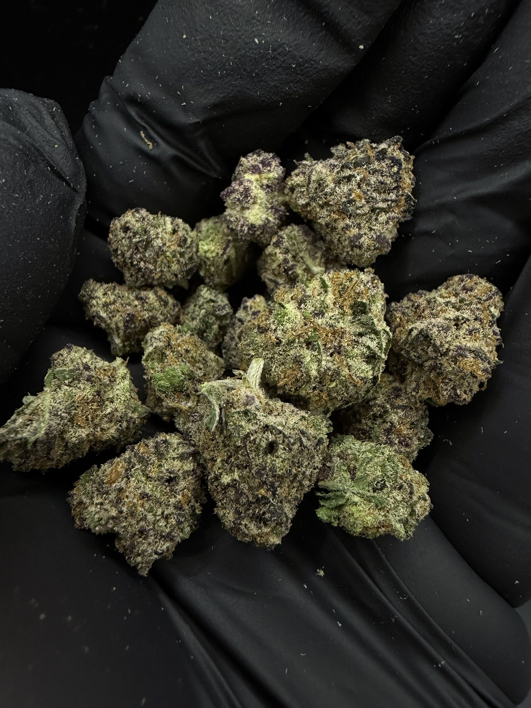Blackberry Oreoz