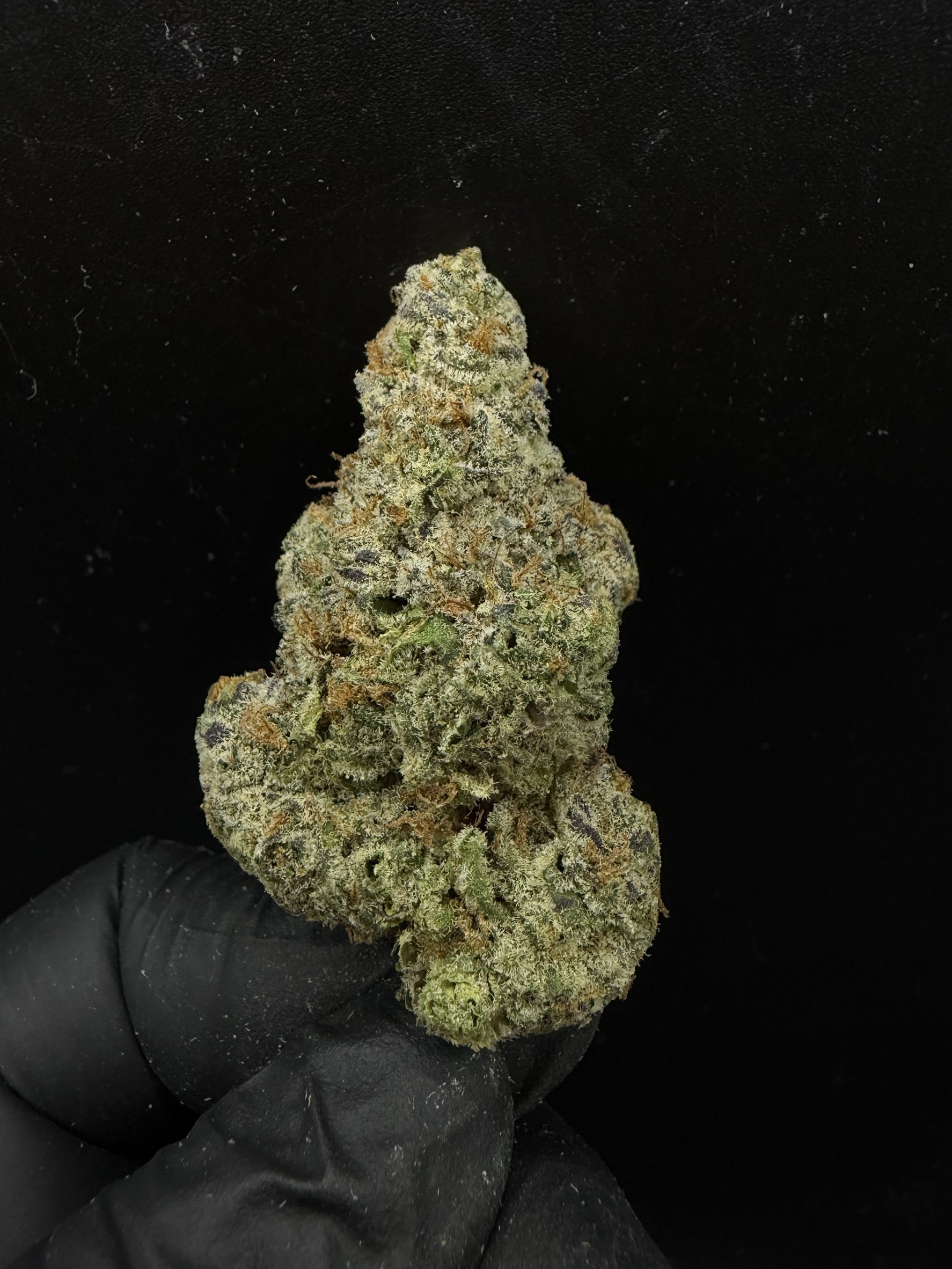 Cherry Popperz