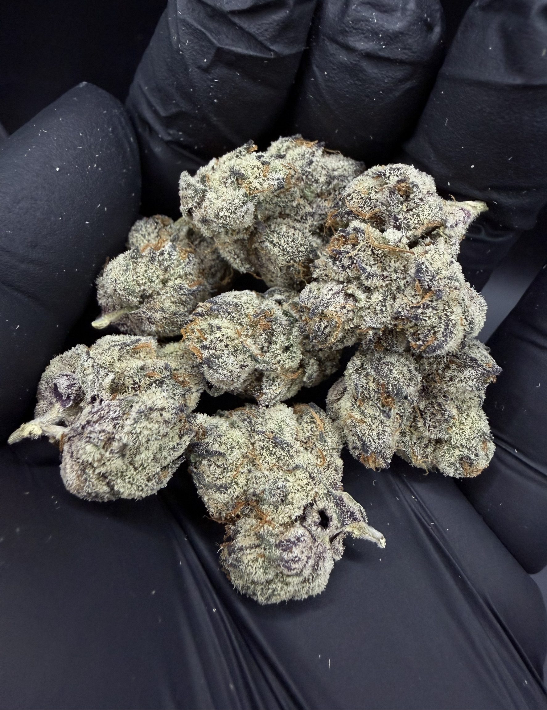 Blueberry Pave Runtz