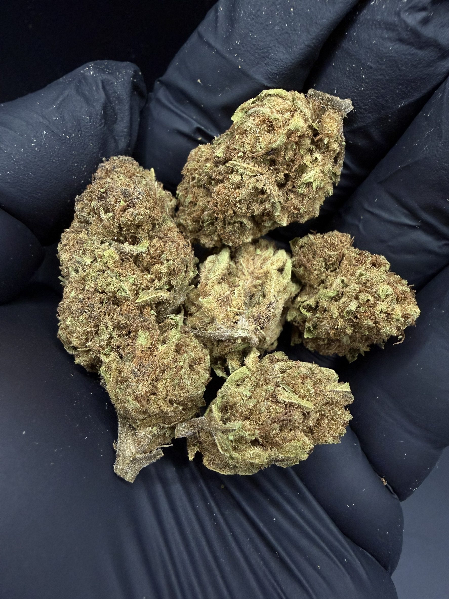 Frozen Black Cherry