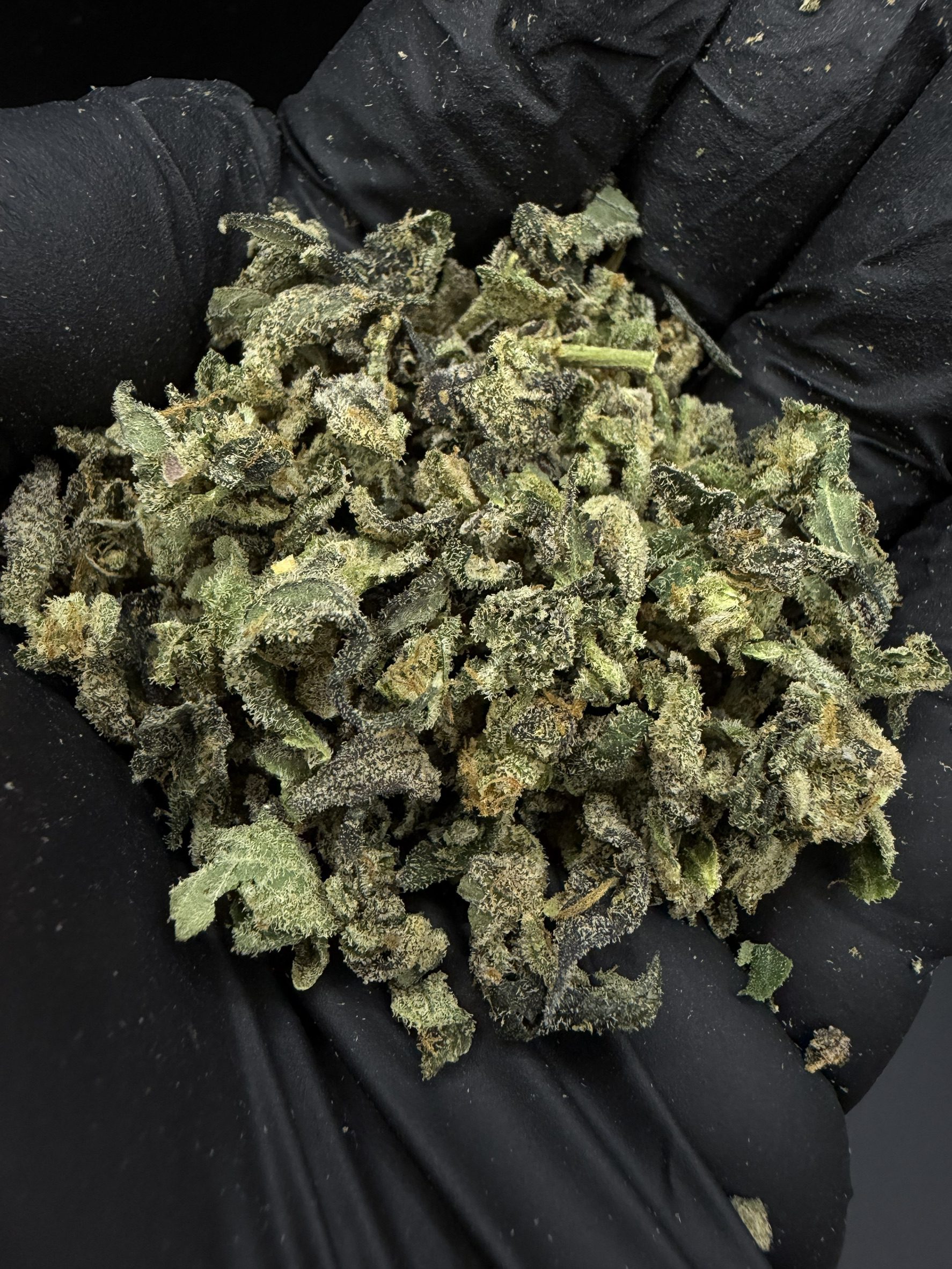 Trim Zapplez