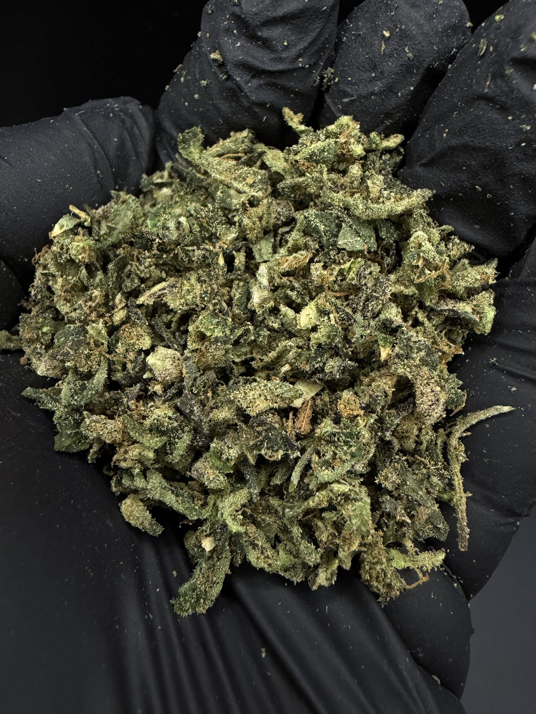Trim Blue Runtz