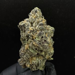 Cherry Punch