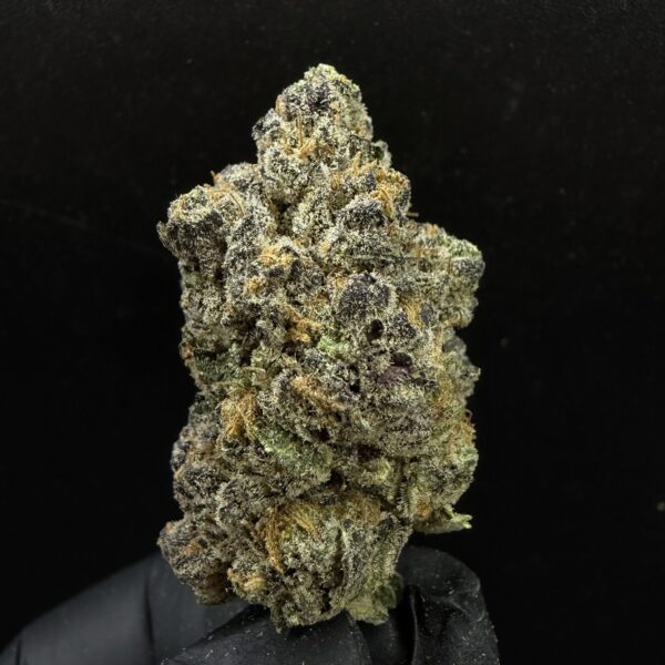Cherry Punch