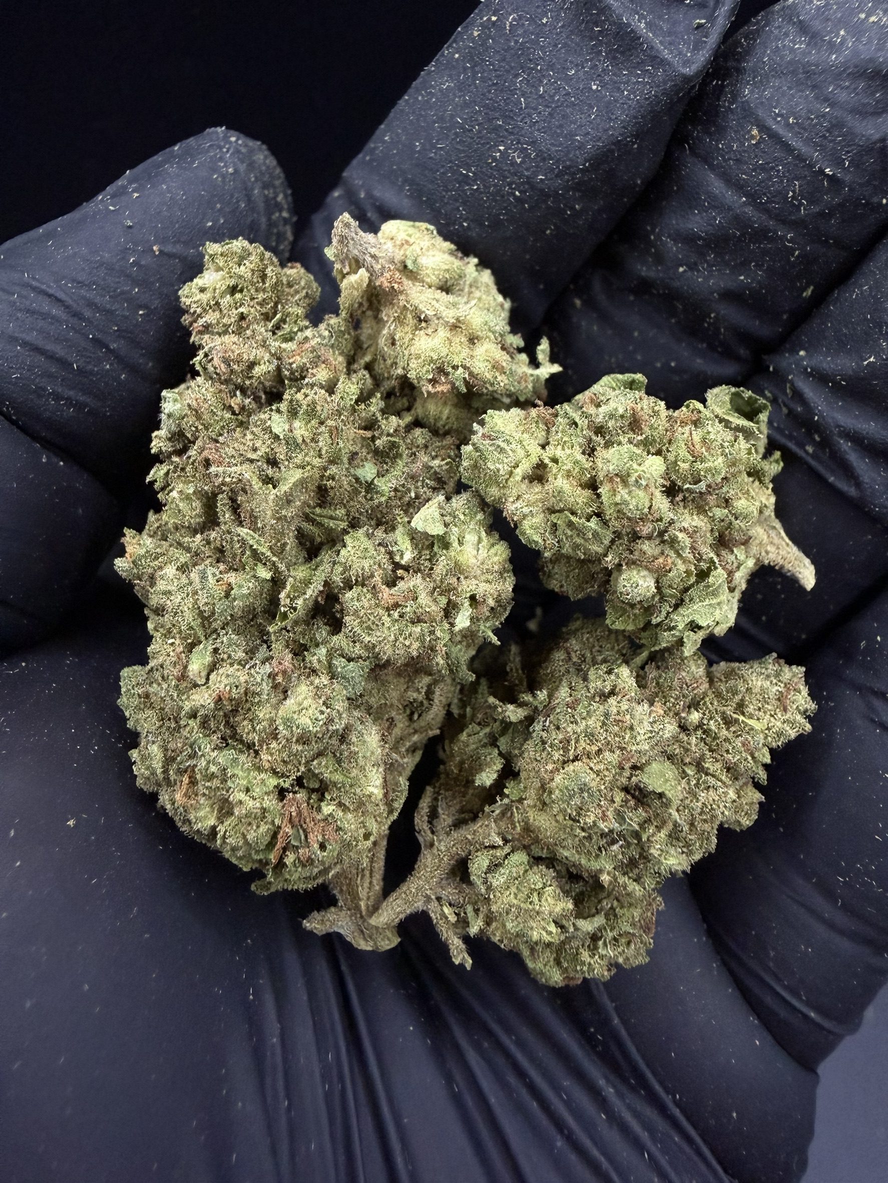 Blue Cheese