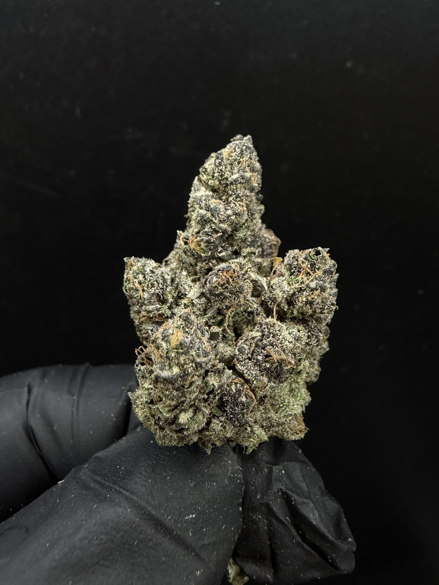 Blackout Cherries