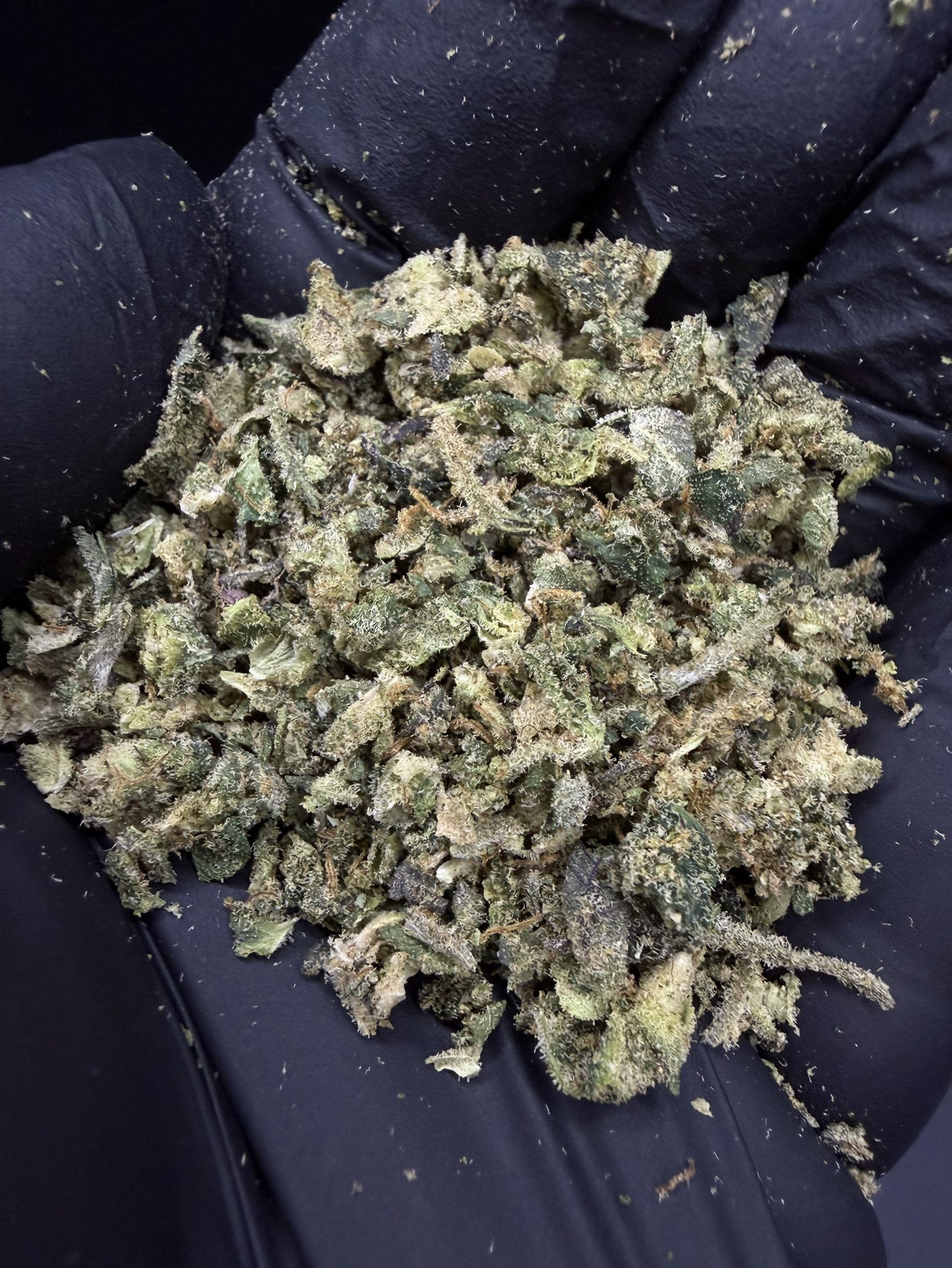 Trim Magic Ztrawz