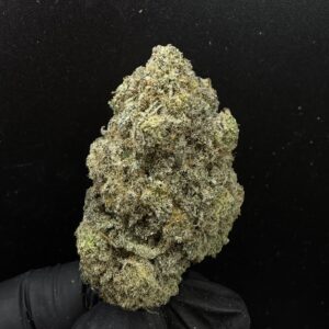 King's Kush