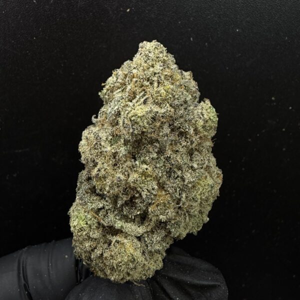 King's Kush