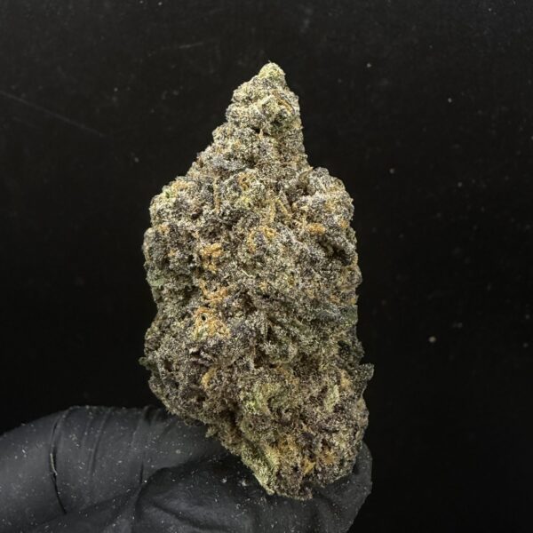 Chocolate Glue