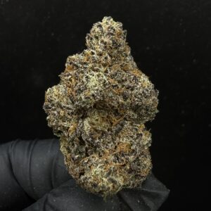Apricot Stomper