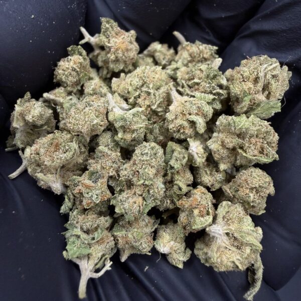 Rainbow Runtz [ Popcorn Start 5g = 50 ]