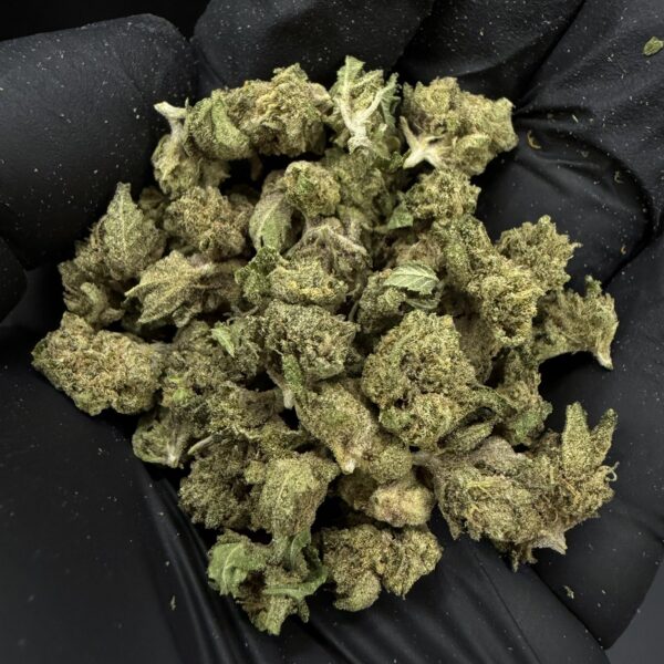 Oreoz Big Stuff [ Popcorn Start 5g = 50 ]