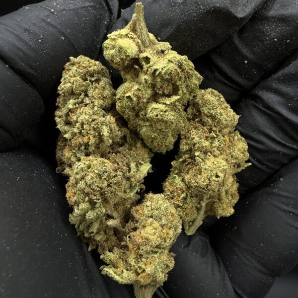 Oreoz Big Stuff S1