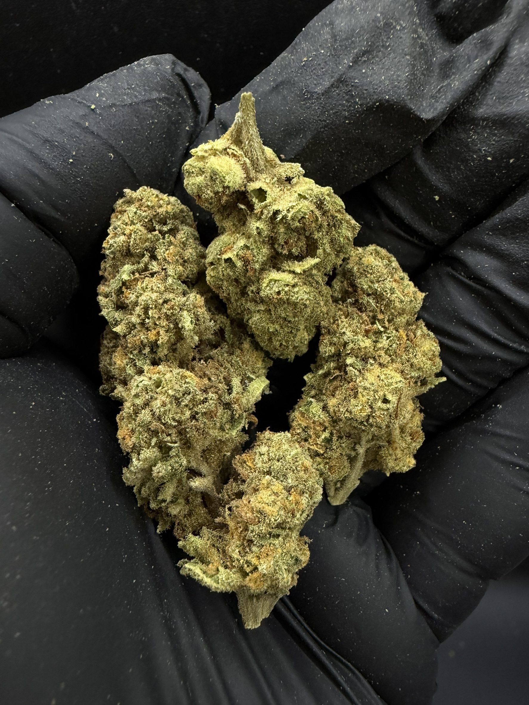 Oreoz Big Stuff S1