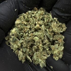 ใต้เครื่อง [ Gorilla Glue ]