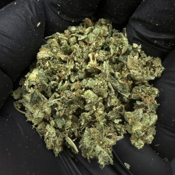 ใต้เครื่อง [ Gorilla Glue ]