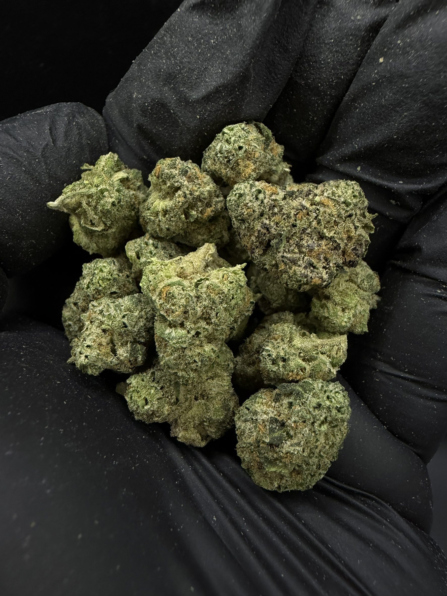 Alien Mints