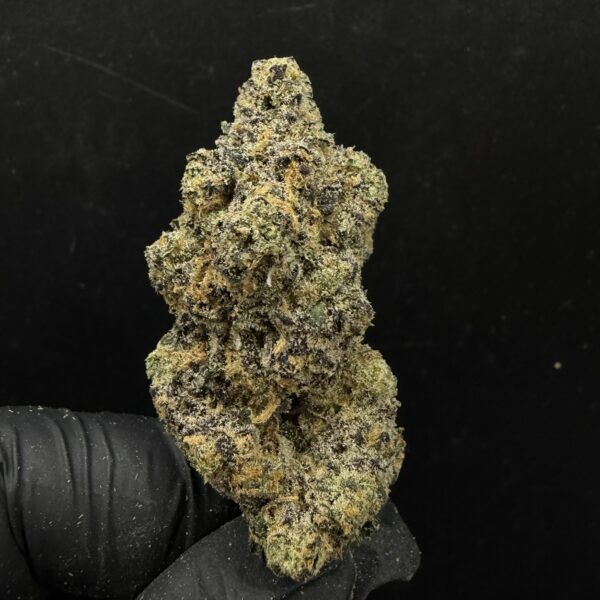 Alien Mints [ CM Grower ]