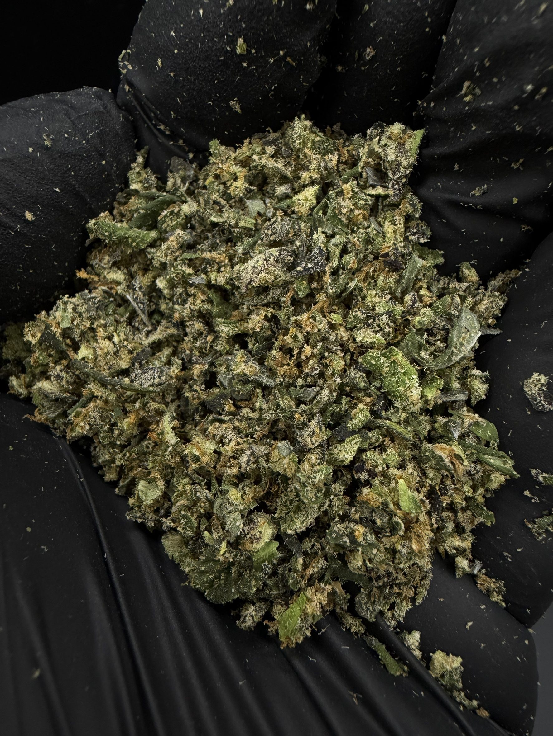 Trim Blackberry Oreoz