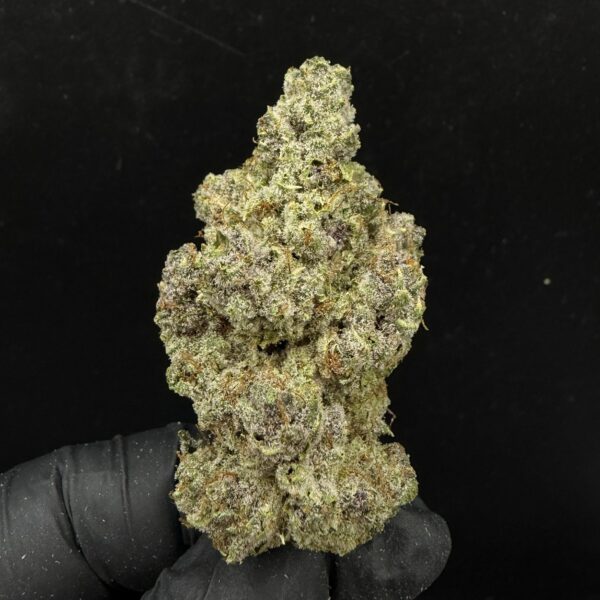 Razzberry Rocket