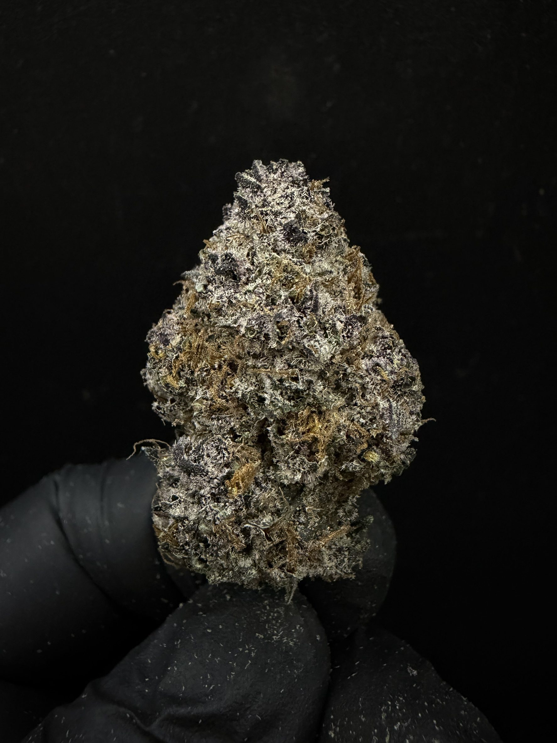 Red Oreoz