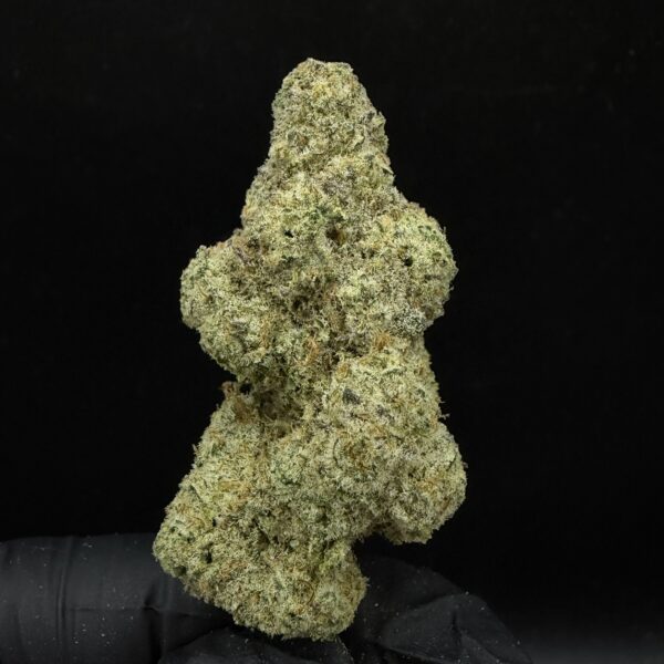 Alien Mints [ TC Grower ]