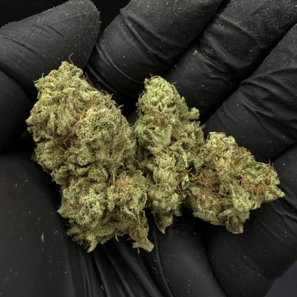 Sweet Pie [ Organic ]
