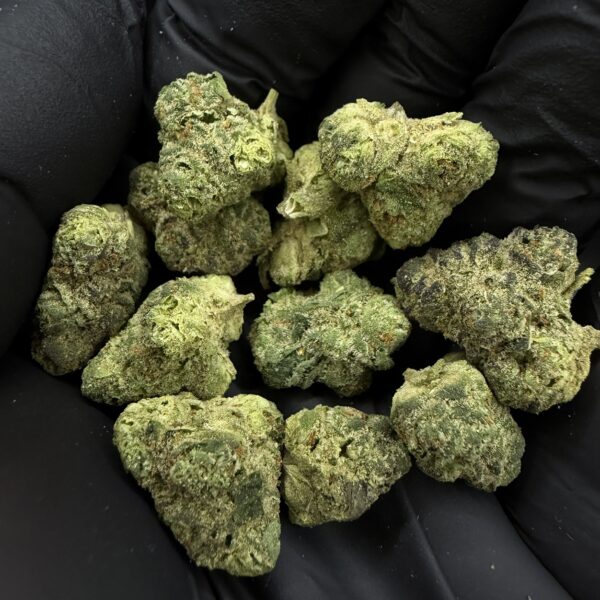 Gelato Cookies [ Popcorn ]