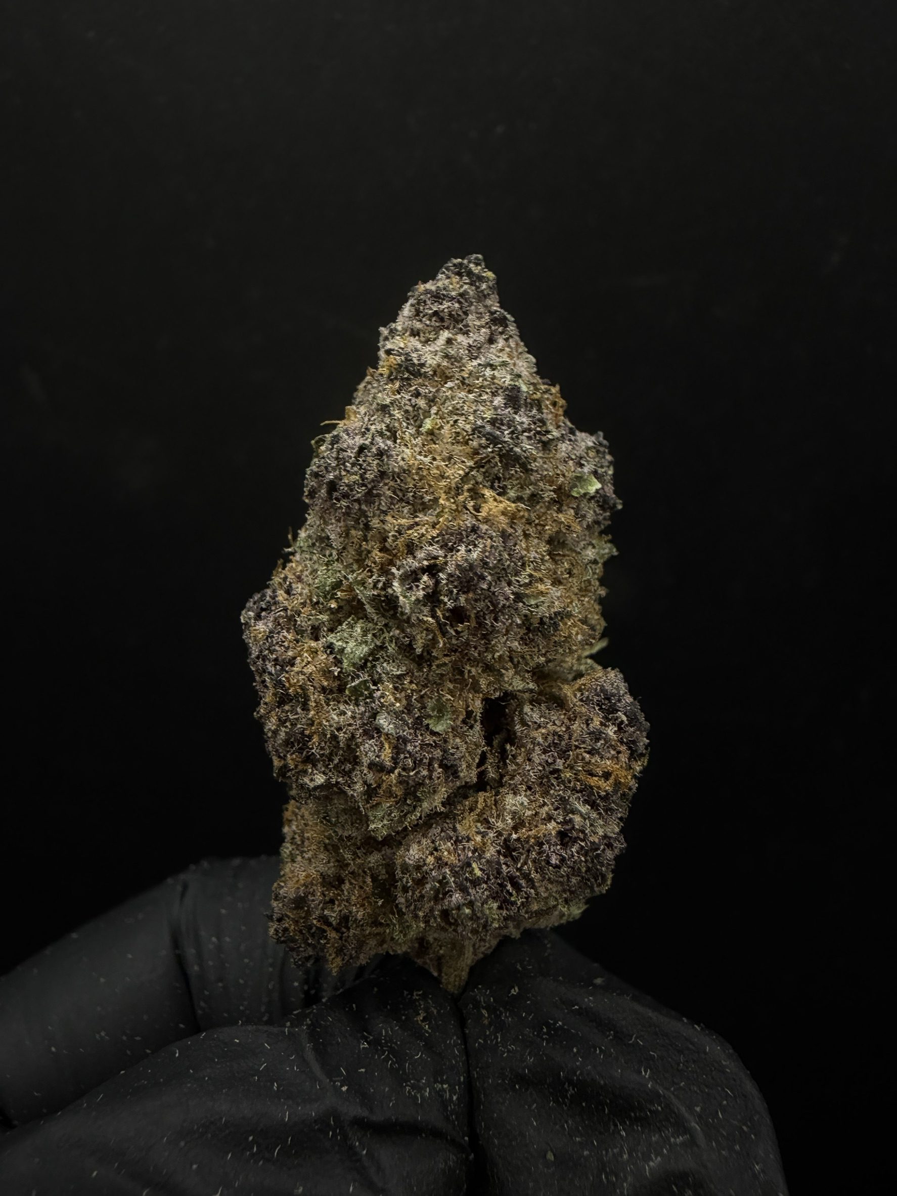 Tropicana Cherry