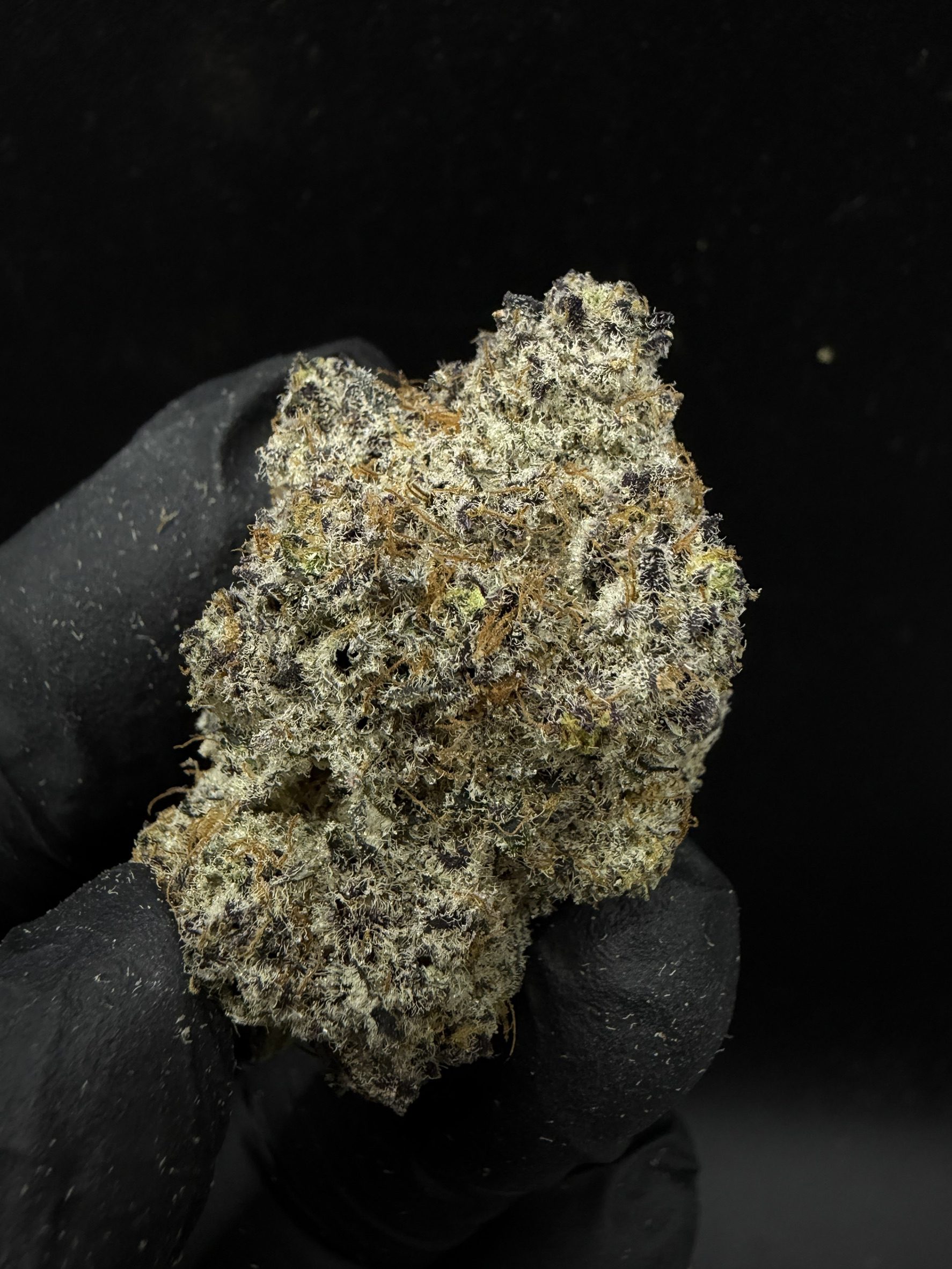 Cherry Pop Tartz - Image 2