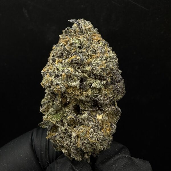 Slurricane