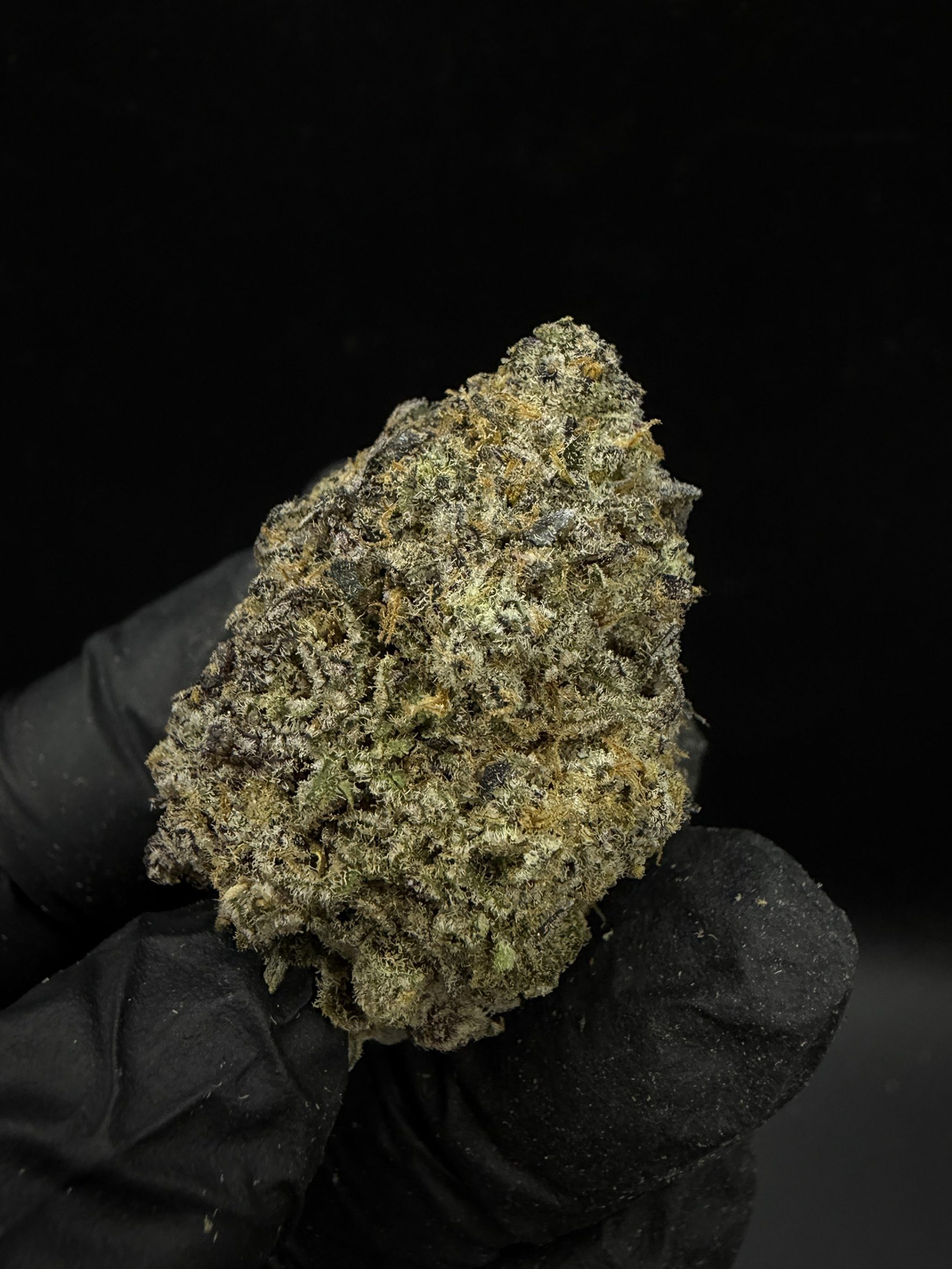 Slurricane - Image 2