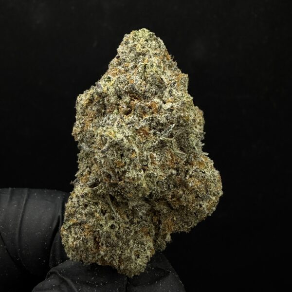 White Truffle