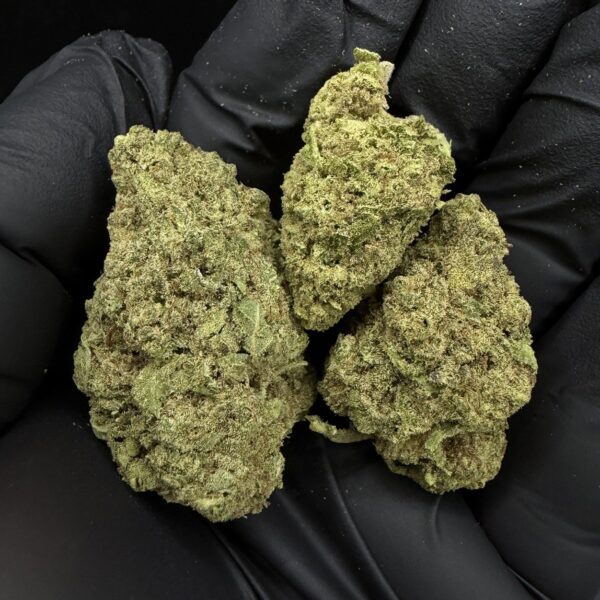 Apple Fritter