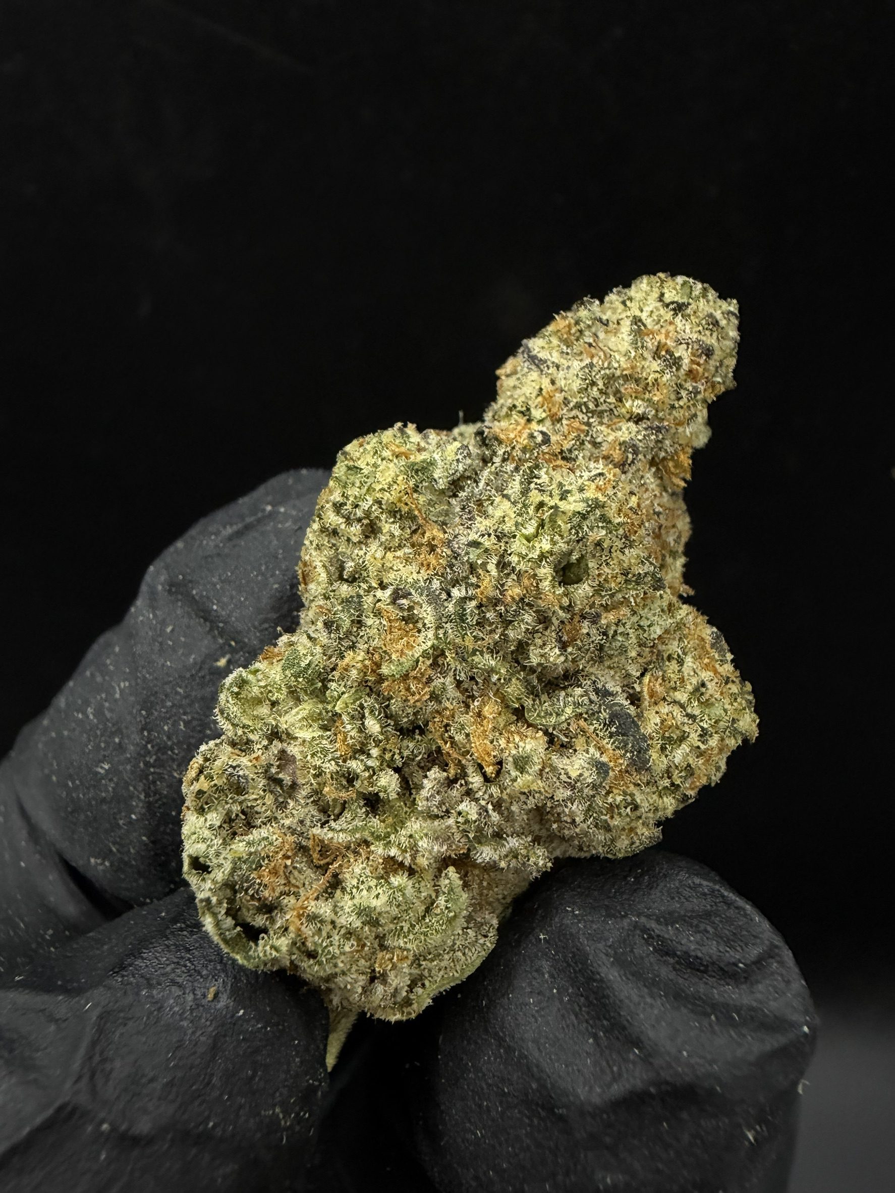 Midnight Climax - Image 2
