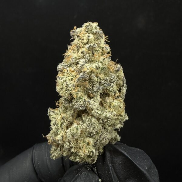 Zkittlez Party