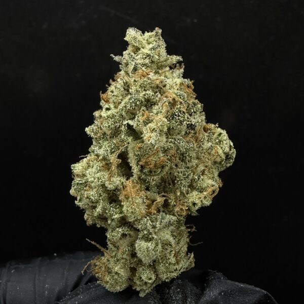 BKK Haze [ Thai Breed ]