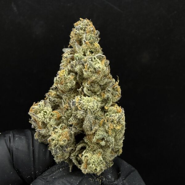 Cherry Mango Haze